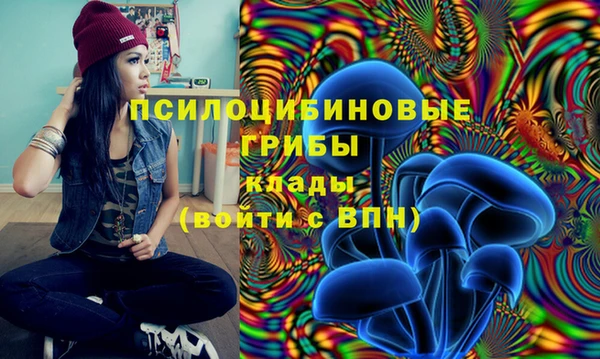 ПСИЛОЦИБИНОВЫЕ ГРИБЫ Алзамай