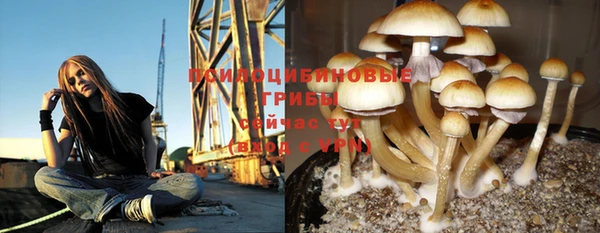 ПСИЛОЦИБИНОВЫЕ ГРИБЫ Алзамай