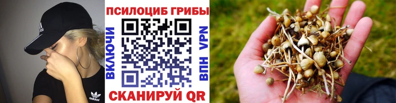 Псилоцибиновые грибы прущие грибы Ухта