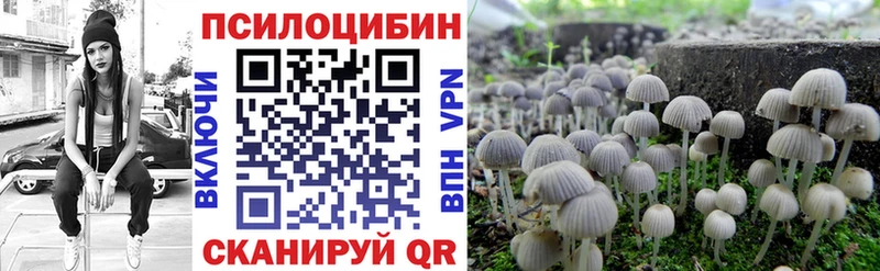 Псилоцибиновые грибы мицелий  наркота  Ухта 
