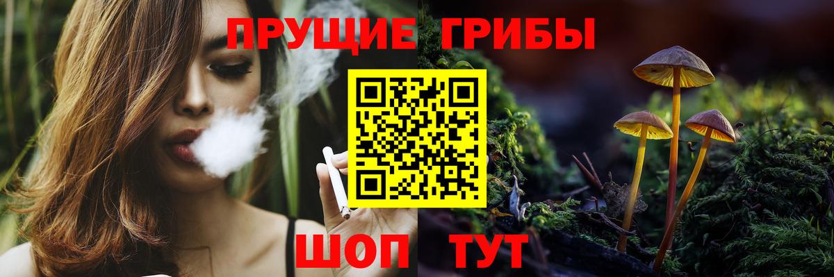 Ухта  Псилоцибиновые грибы Cubensis  Вход с VPN 